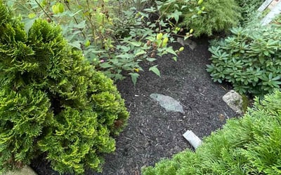 Photo of Joseph K.'s yard after getting landscaping in Purcellville, VA