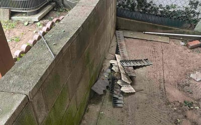 Photo of Henrietta R. O.'s yard after getting tree care in Philadelphia, PA