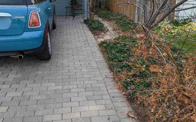 Photo of Roberta G.'s yard after getting landscaping in Conifer, CO