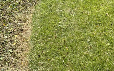 Photo of Roman G.'s yard after getting landscaping in New Kensington, PA