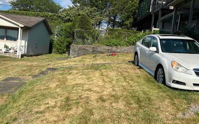 Photo of Pamela W.'s yard after getting tree care in Butler, PA