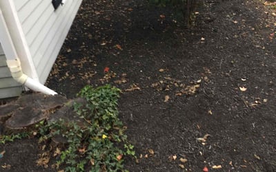 Photo of Sheri B.'s yard after getting landscaping in Johnstown, OH