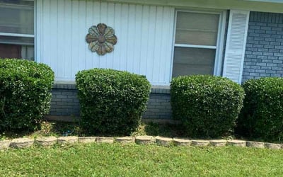 Photo of Judy R.'s yard after getting landscaping in Haltom City, TX