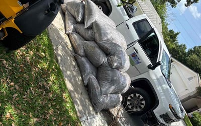 Photo of Thomas R.'s yard after getting lawn care in Boca Raton, FL