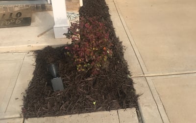 Photo of Brandon M.'s yard after getting landscaping in Barium Springs, NC