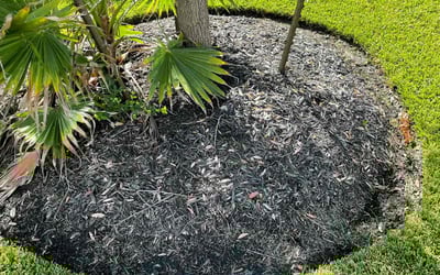 Photo of Ron B.'s yard after getting landscaping in Bleiblerville, TX