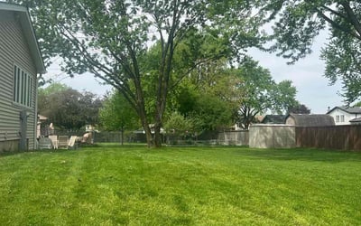 Photo of Zachary C.'s yard after getting lawn care in Bartlett, IL