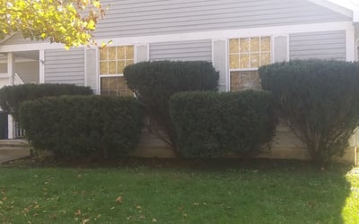 Photo of Brian B.'s yard after getting landscaping in Moxahala, OH