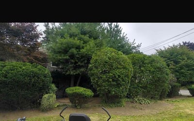Photo of Edison W.'s yard after getting lawn care in Patchogue, NY