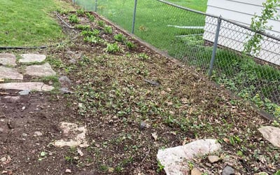 Photo of Melanie R.'s yard after getting landscaping in Montgomery, MN