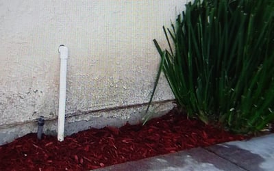 Photo of Henry B.'s yard after getting tree care in Vacaville, CA