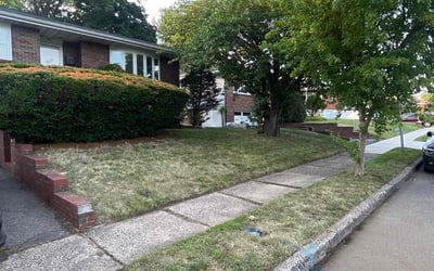 Photo of Tony D.'s yard after getting landscaping in South Salem, NY