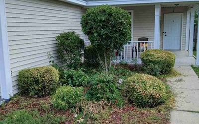 Photo of Nathan H.'s yard after getting landscaping in Columbia, SC