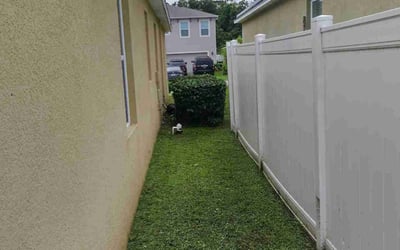 Photo of James T.'s yard after getting landscaping in Homeland, FL