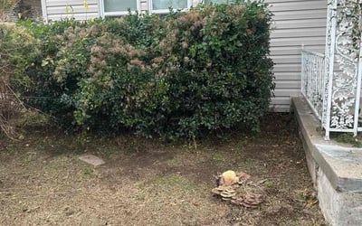 Photo of Amanda H.'s yard after getting landscaping in Noble, OK
