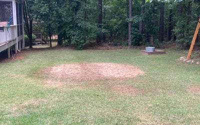 Photo of Kim H.'s yard after getting landscaping in Bunn, NC