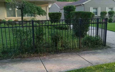 Photo of Kenneth M.'s yard after getting landscaping in Cicero, IL