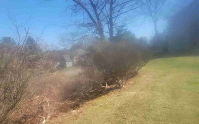 Photo of William J.'s yard after getting landscaping in Fitchburg, MA