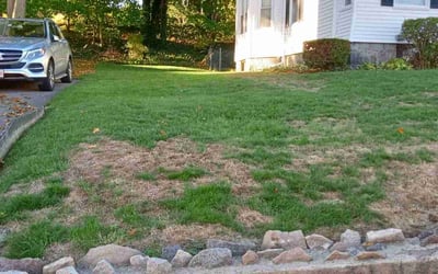 Photo of Robert S.'s yard after getting landscaping in Plainville, MA