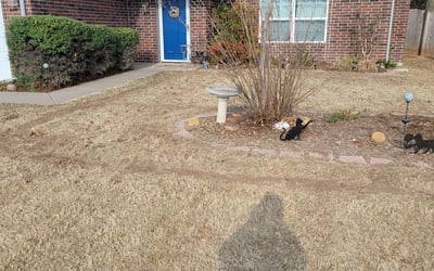 Photo of Heather S.'s yard after getting landscaping in Chickasha, OK