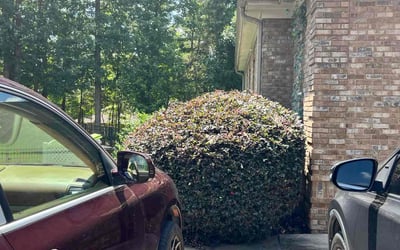 Photo of Angie S.'s yard after getting landscaping in Locust Grove, GA