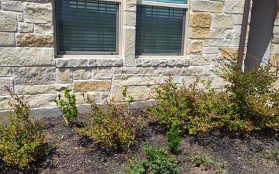 Photo of Donna R.'s yard after getting landscaping in Pflugerville, TX