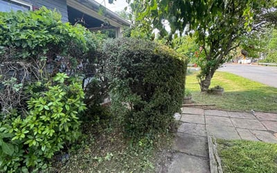 Photo of Robert R.'s yard after getting landscaping in Edison, NJ
