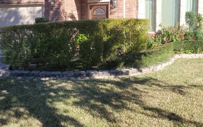 Photo of Yanette F.'s yard after getting tree care in Friendswood, TX