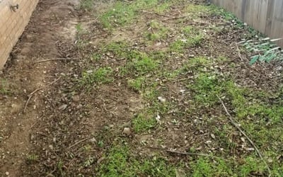 Photo of Joseph D.'s yard after getting landscaping in Jones, OK