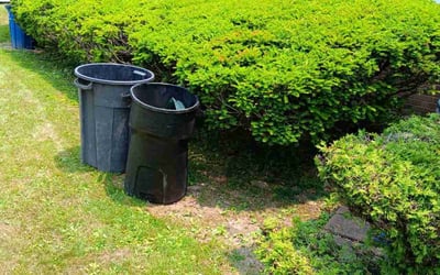 Photo of James M.'s yard after getting landscaping in Jeannette, PA
