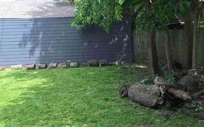 Photo of Andrea S.'s yard after getting landscaping in Cicero, IN