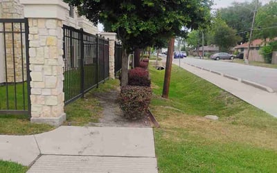 Photo of Kaitlin W.'s yard after getting tree care in La Porte, TX