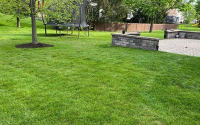 Photo of Rachel U.'s yard after getting lawn care in Vernon Hills, IL