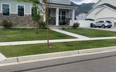 Photo of Ellie W.'s yard after getting lawn care in Springville, UT