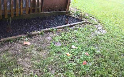 Photo of Deborah T.'s yard after getting landscaping in Batavia, OH