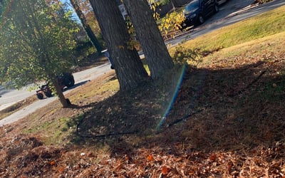 Photo of Carvie &Tressy T.'s yard after getting landscaping in Stony Creek, VA