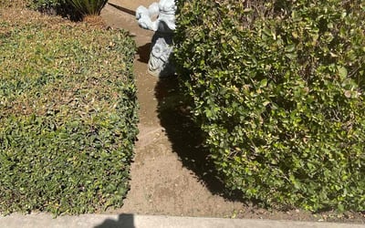 Photo of ALge M.'s yard after getting landscaping in Tehachapi, CA