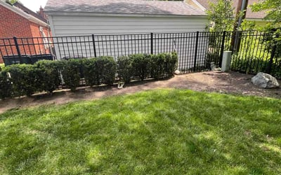 Photo of Barbara B.'s yard after getting landscaping in Royal Oak, MI
