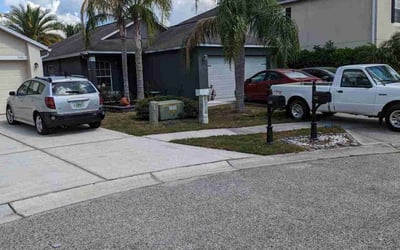 Photo of Erica F.'s yard after getting tree care in Lithia, FL