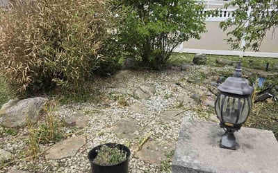 Photo of Richard C.'s yard after getting landscaping in Bolingbrook, IL