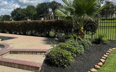 Photo of Mike B.'s yard after getting landscaping in Houston, TX