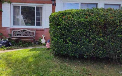 Photo of Pamela W.'s yard after getting tree care in Butler, PA