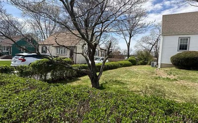Photo of Carla S.'s yard after getting tree care in Elizabethtown, PA