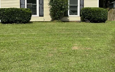 Photo of Sharon H.'s yard after getting landscaping in Goose Creek, SC