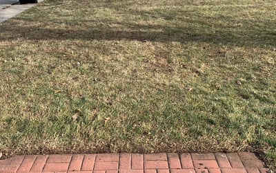 Photo of Marquan W.'s yard after getting landscaping in Concordia, MO