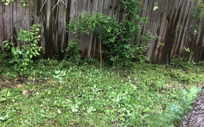 Photo of Nathan H.'s yard after getting landscaping in Chandler, OK