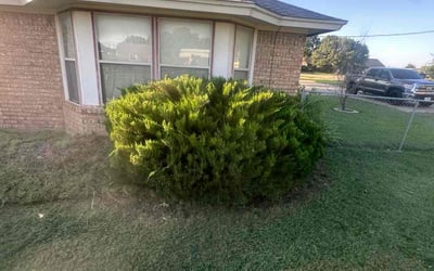 Photo of Vicky H.'s yard after getting landscaping in Haslet, TX