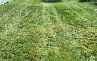 Photo of Kim H.'s yard after getting landscaping in Almont, MI
