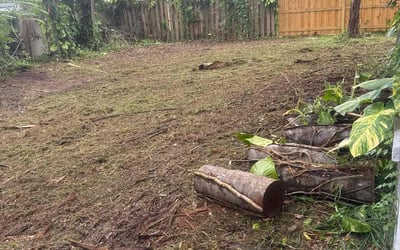 Photo of Jennifer R.'s yard after getting landscaping in Bradenton, FL