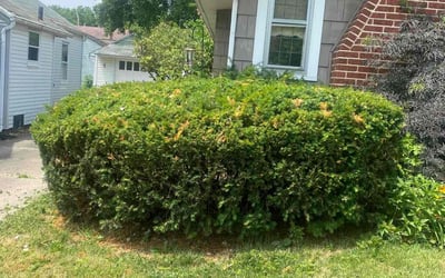 Photo of Robert F.'s yard after getting landscaping in Northwood, OH